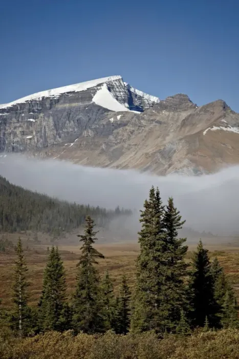 Framed Print : Fog in the Alpine valley, Jasper National Park, UNESCO World Heritage Site, Alberta, Canada, North America Framed Print : Fog in the Alpine valley, Jasper National Park, UNESCO World Heritage Site, Alberta, Canada, North America