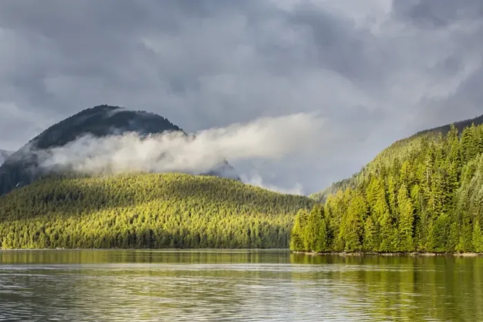 Framed Print : Fog-shrouded forest near Juneau, Southeast Alaska, United States of America, North America Framed Print : Fog-shrouded forest near Juneau, Southeast Alaska, United States of America, North America