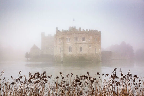 Foggy day in the park surrounding Leeds Castle, Kent, England, United Kingdom, Europe