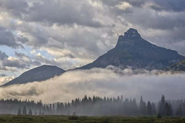 Foggy meadow under clouds, Banff National Park, UNESCO World Heritage Site, Alberta, Rocky Mountains, Canada, North America