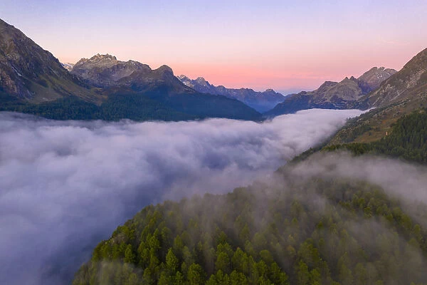 Foggy sunrise over woods of Maloja Pass at dawn, aerial view by drone, Engadine, Canton