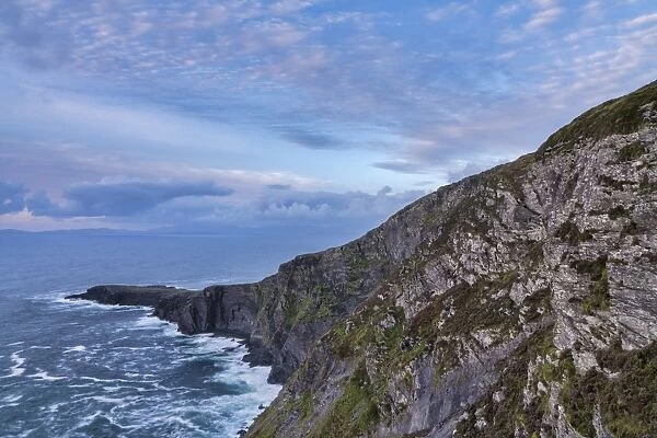 Fogher Cliffs, Valentia Island, County Kerry, Munster, Republic of Ireland, Europe