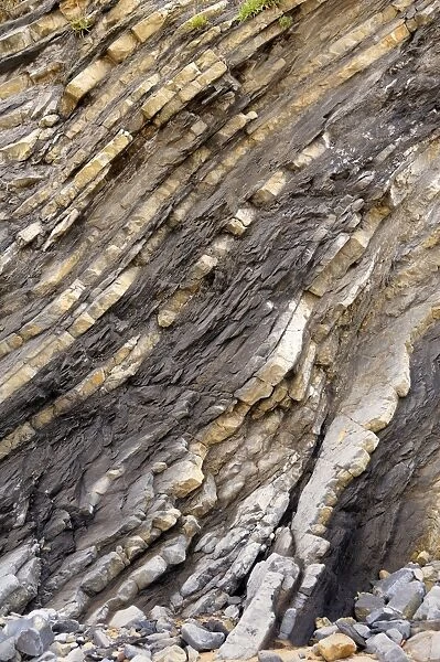 Folded layers of Jurassic sedimentary limestone and marl rocks in the cliffs at Vega beach, Ribadesella, Asturias, Spain, Europe