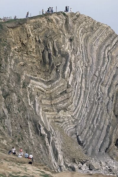 Folded limestone and shale, Jurassic period, Stair Hole, Lulworth, Dorset
