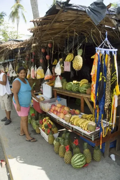 Framed Print : Food vendors, Manuel Antonio, Costa Rica, Central America Framed Print : Food vendors, Manuel Antonio, Costa Rica, Central America