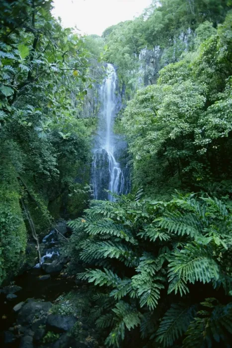 Framed Print : The one hundred foot Wailua falls near Oheo Framed Print : The one hundred foot Wailua falls near Oheo
