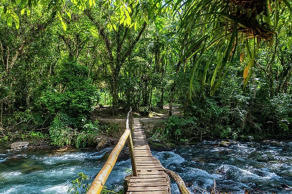 Footbridge over the Batari River, Atlantic Forest South-East Reserves, UNESCO World Heritage Site, Alto Ribeira Touristic State Park, Sao Paulo State, Brazil, South America
