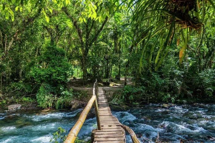 Framed Print : Footbridge over the Batari River, Atlantic Forest South-East Reserves, UNESCO World Heritage Site, Alto Ribeira Touristic State Park, Sao Paulo State, Brazil, South America Framed Print : Footbridge over the Batari River, Atlantic Forest South-East Reserves, UNESCO World Heritage Site, Alto Ribeira Touristic State Park, Sao Paulo State, Brazil, South America