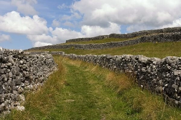 Footpath on the Dales Way, Grassington, Yorkshire Dales National Park, North Yorkshire