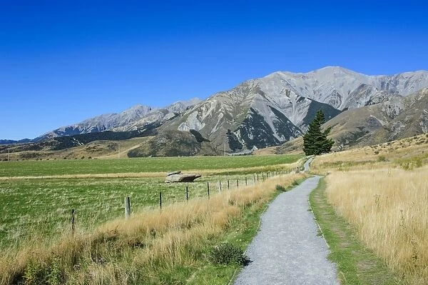 Footpath leading to Craigieburn Forest Park from Castle Hill, Canterbury, South Island, New Zealand, Pacific
