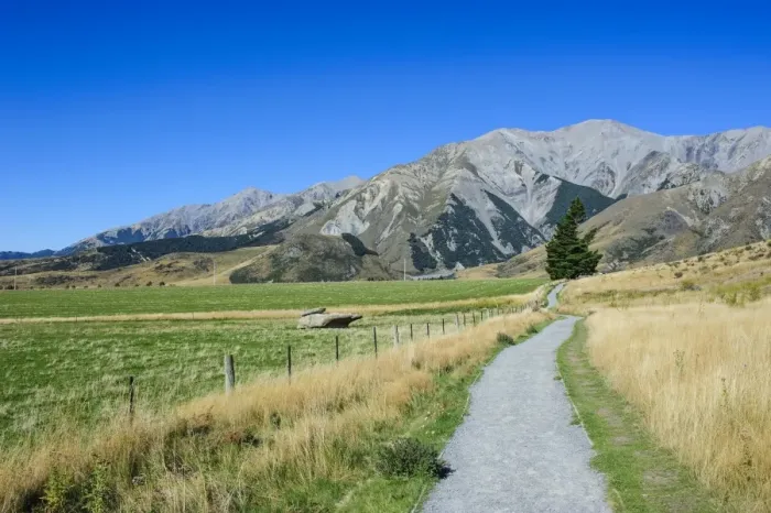 Framed Print : Footpath leading to Craigieburn Forest Park from Castle Hill, Canterbury, South Island, New Zealand, Pacific Framed Print : Footpath leading to Craigieburn Forest Park from Castle Hill, Canterbury, South Island, New Zealand, Pacific
