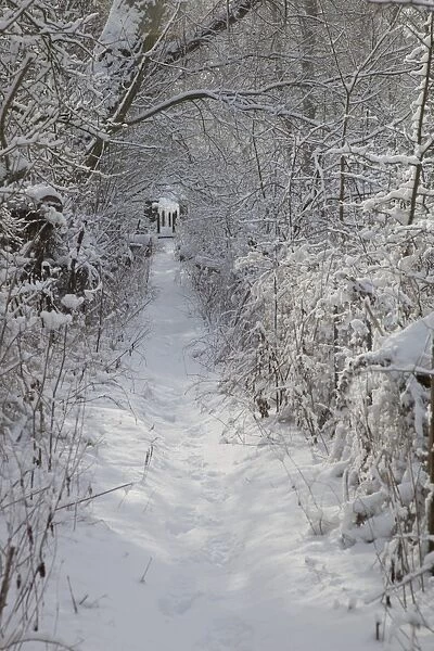 Footpath near Haddon Hall in winter, Derbyshire, England, United Kingdom, Europe