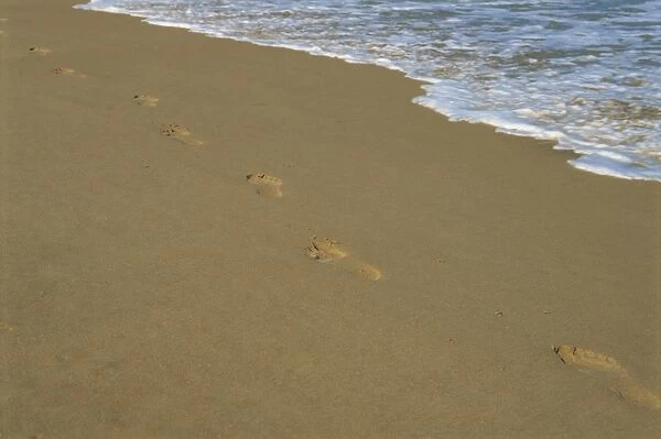 Footprints in the sand on a beach and waters edge