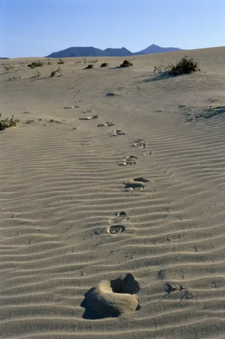 Framed Print : Footprints through sand dunes, near Corralejo, Fuerteventura, Canary Islands, Spain, Europe Framed Print : Footprints through sand dunes, near Corralejo, Fuerteventura, Canary Islands, Spain, Europe