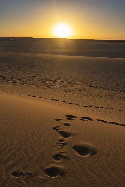 Footprints and sand ripples in the sand dunes of the Tenere Desert, Sahara, Niger, Africa