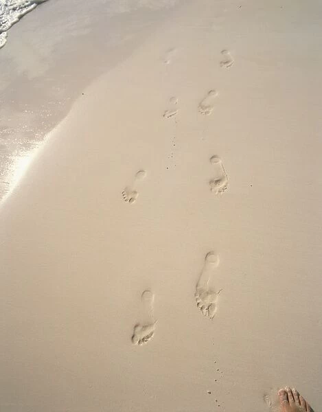 Footprints on wet sand, Whale Beach, Bermuda, mid Atlantic
