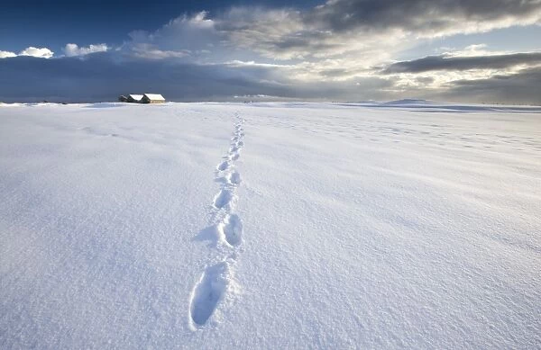 Footsteps in freshly-fallen snow leading off into distance towards dramatic winter sky
