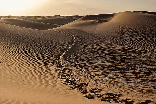 Footsteps trail path between the sand dunes of Sahara Desert, Merzouga, Morocco