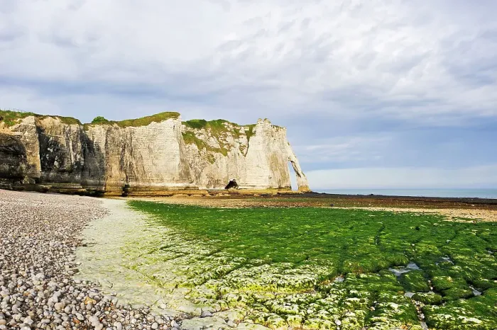Framed Print : Foreshore at low tide and cliff, Etretat, Seine-Maritime department, Normandy region, France, Europe Framed Print : Foreshore at low tide and cliff, Etretat, Seine-Maritime department, Normandy region, France, Europe