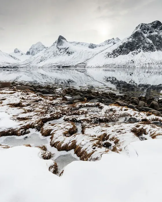 Framed Print : Foreshore and mountains, Senja, Troms og Finnmark, Norway, Scandinavia, Europe Framed Print : Foreshore and mountains, Senja, Troms og Finnmark, Norway, Scandinavia, Europe