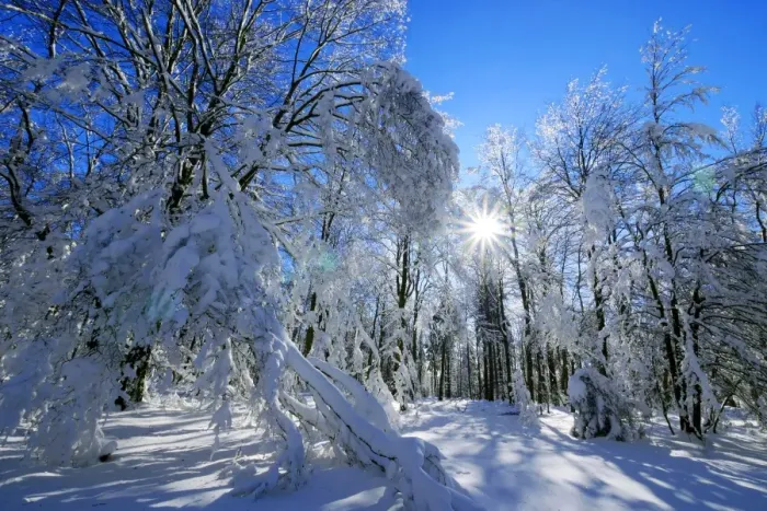 Framed Print : Forest in winter, Erbeskopf Mountain, 816m, Saar-Hunsrueck Nature Park, Rhineland-Palatinate Framed Print : Forest in winter, Erbeskopf Mountain, 816m, Saar-Hunsrueck Nature Park, Rhineland-Palatinate