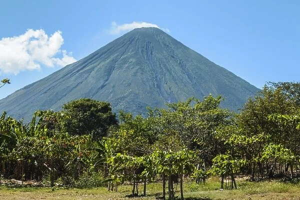 The forested side of the 1610m active Volcan Concepcion seen from the east of the island, Isla Omotepe, Lake Nicaragua, Nicaragua, Central America