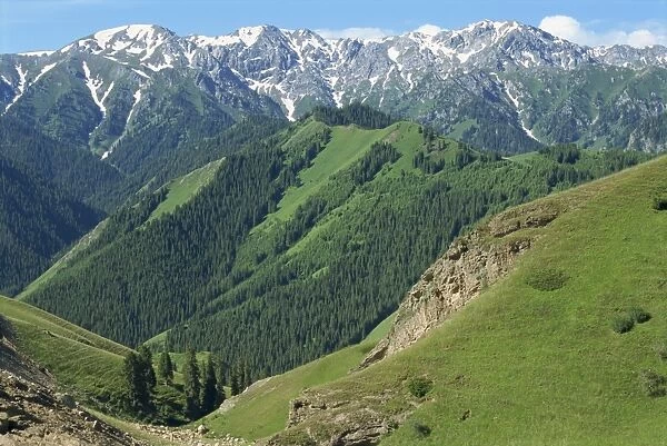 Forested hills and snow capped mountains at Tianshan near Sayram Lake in Xinjiang