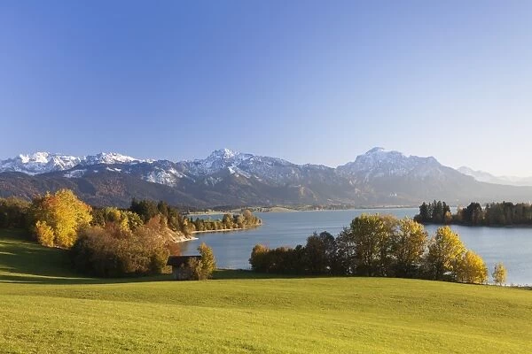 Forggensee Lake and Allgau Alps, Fussen, Ostallgau, Allgau, Allgau Alps, Bavaria, Germany, Europe
