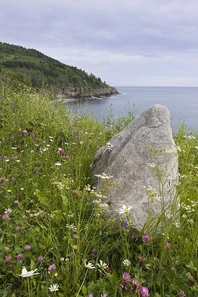 Forillon National Park of Canada, Gaspe, Gaspe peninsula, province of Quebec