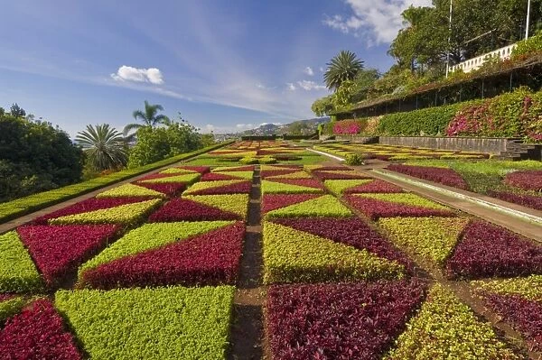 Formal gardens in the Botanical gardens (Jardim Botanico), above Funchal