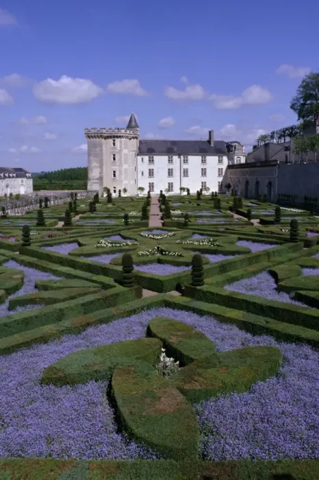 Framed Print : Formal gardens, Chateau of Villandry, UNESCO World Heritage Site, Indre et Loire Framed Print : Formal gardens, Chateau of Villandry, UNESCO World Heritage Site, Indre et Loire