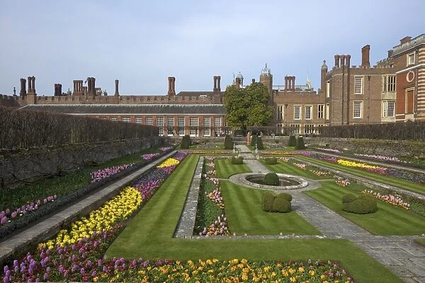 Formal gardens, Hampton Court Palace, Greater London, England, United Kingdom, Europe