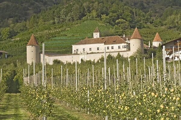 Fortified house surrounded by apple orchards