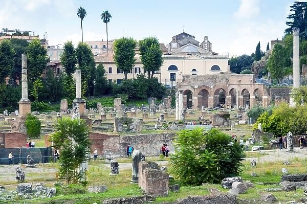 Forum of Nerva, Roman Forum (Foro Romano), UNESCO World Heritage Site, Rome, Lazio
