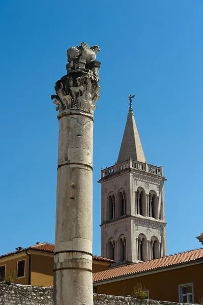The Forum, Zadar, Zadar county, Dalmatia region, Croatia, Europe