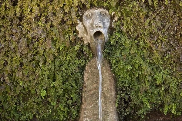 Detail of the fountain of the 100 faces in Villa D Este, Tivoli, Lazio, Italy, Europe