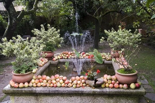 Fountain with apples