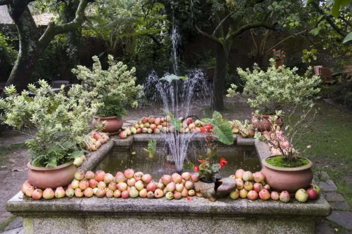 Framed Print : Fountain with apples Framed Print : Fountain with apples