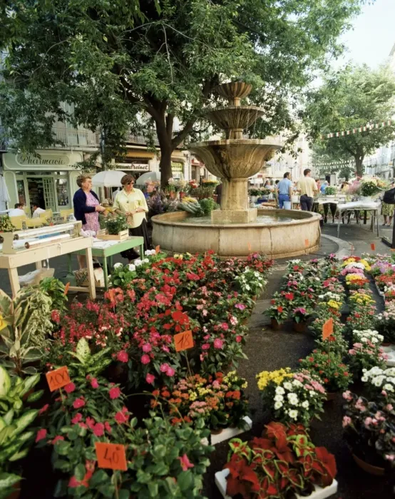 Framed Print : Fountain and flower market, Place aux Aires, Grasse, Alpes-Maritimes, Provence Framed Print : Fountain and flower market, Place aux Aires, Grasse, Alpes-Maritimes, Provence