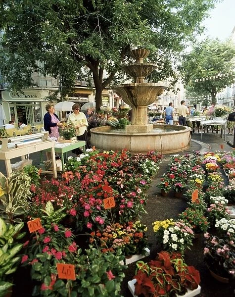 Fountain and flower market, Place aux Aires, Grasse, Alpes-Maritimes, Provence