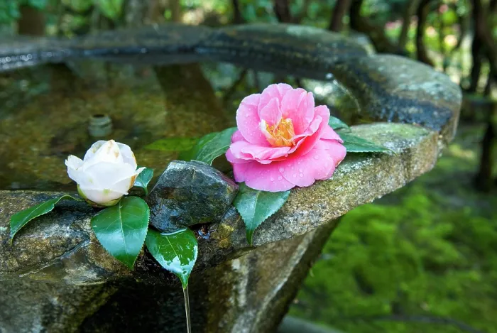 Framed Print : Fountain at Honen-in Temple, Sakyo-ku, Kyoto, Japan