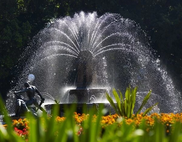 Fountain, Hyde Park, Sydney, New South Wales, Australia, Pacific