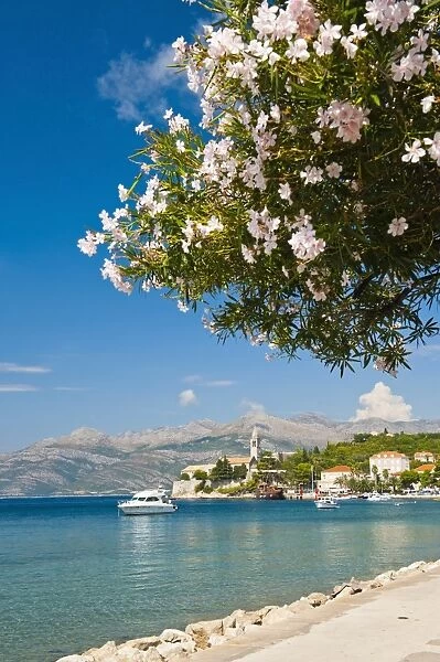Franciscan Monastery, Lopud Island, Elaphiti Islands (Elaphites), Dalmatian Coast, Adriatic Sea, Croatia, Europe