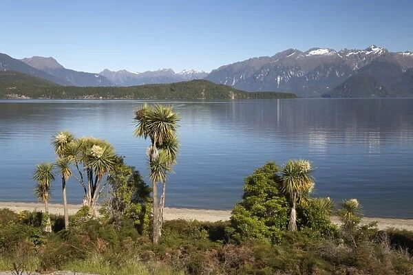 Frasers Beach and Lake Manapouri, Manapouri, Southland, South Island, New Zealand, Pacific