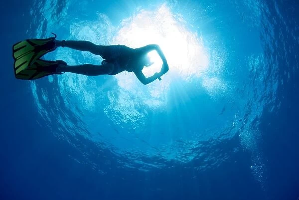 Free diving snorkeller and sunburst on the Great Barrier Reef, UNESCO World Heritage Site