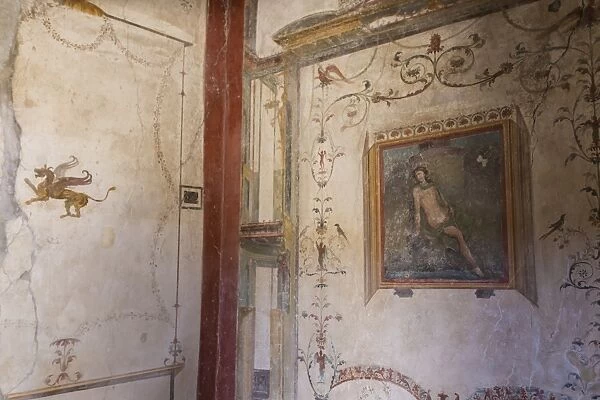 Frescoes, Casa dell Ara Massima, Roman ruins of Pompeii, UNESCO World Heritage Site