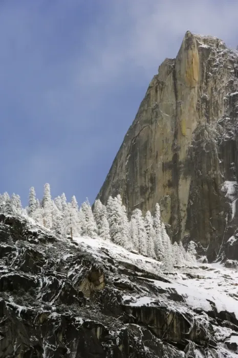 Framed Print : Fresh snow fall on trees on Cathedral Rock