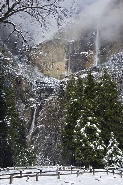 Fresh snow fall on Yosemite Falls