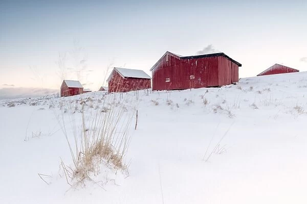Fresh snow surrounds the typical fishermen houses called Rorbu in winter, Eggum, Vestvagoy