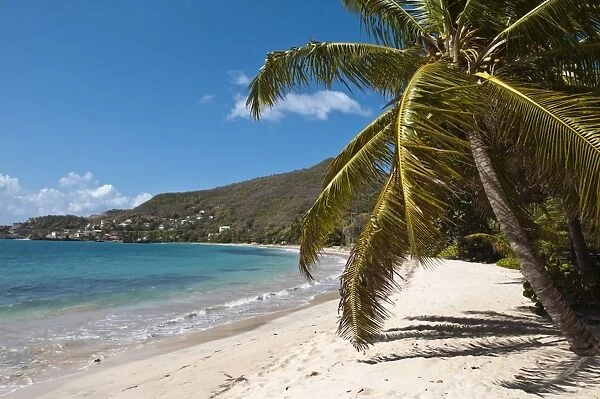 Friendship Bay beach, Bequia, St. Vincent and The Grenadines, Windward Islands